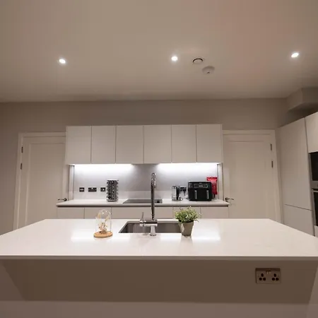King In Luxury House