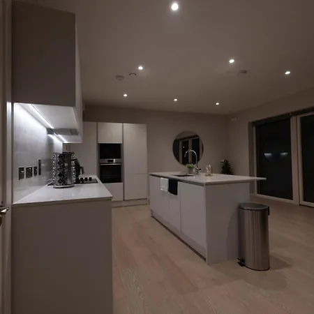 King In Luxury House *